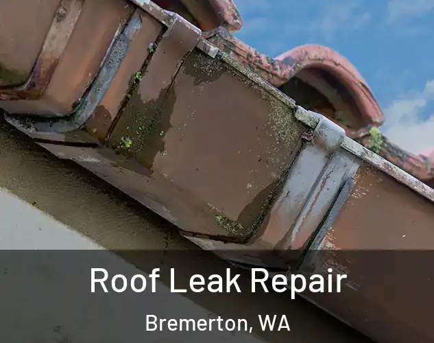  Roof Leak Repair Bremerton, WA